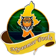 boyasolid10.com
